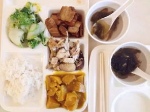 翼众教育 构建以人为本、赋能成长的餐饮服务体系